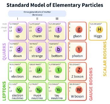Курсовая работа: Физика элементарных частиц и t-кварк